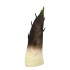 Realistic Bamboo Shoots 12 Inches