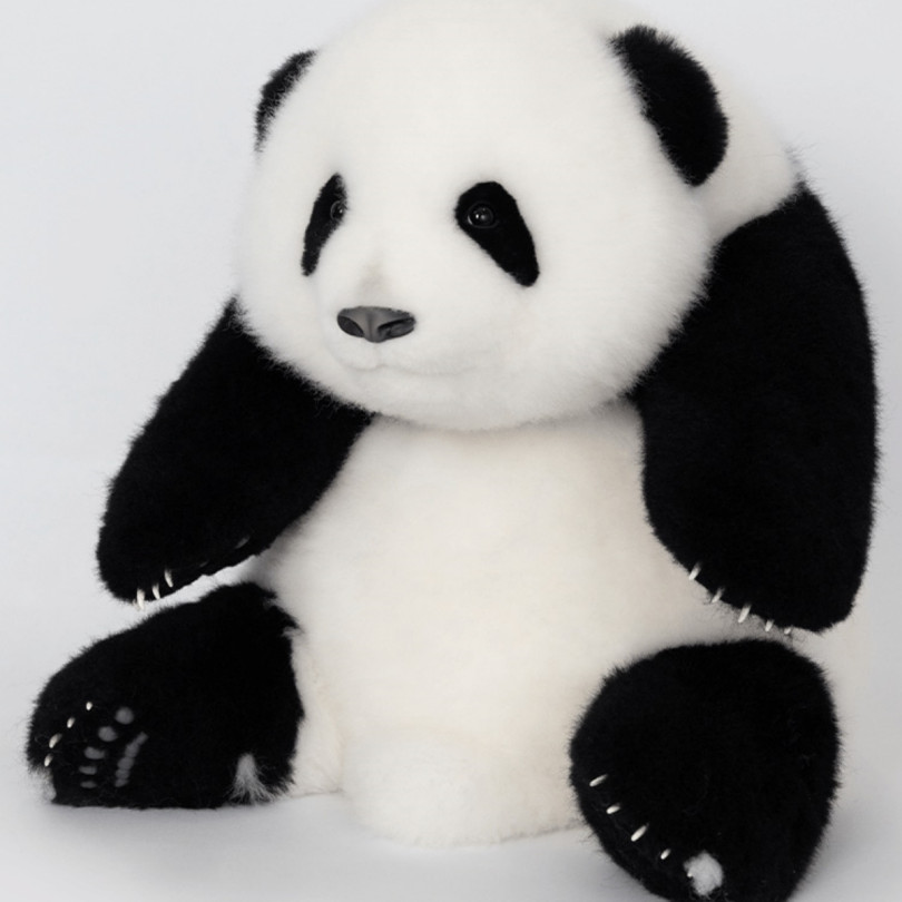 Huahua Panda Plush 5 Months Old Handmade Realistic Panda Plush