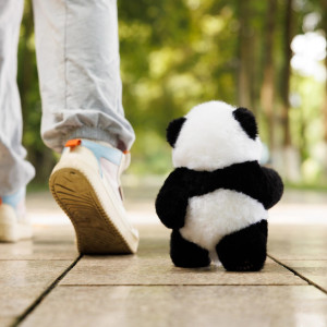 Panda Factory® Realistic Panda Plushies 100% Handmade | Official Site