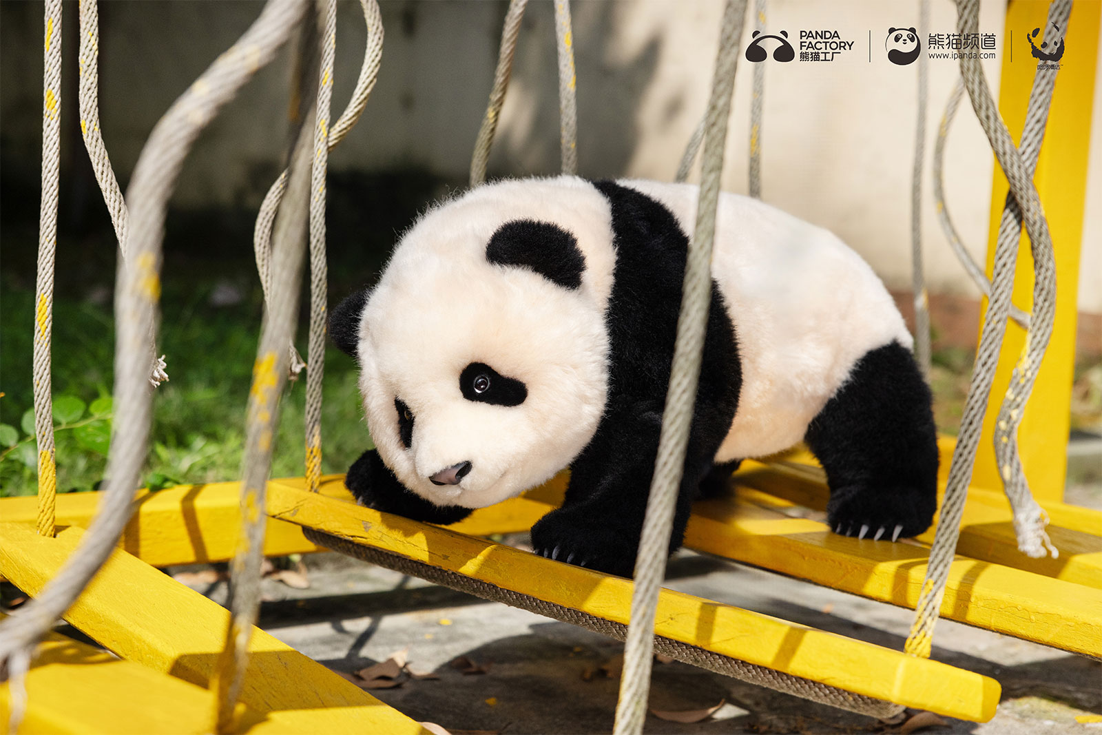 Panda Factory® Realistic Panda Plushies 100% Handmade | Official Site